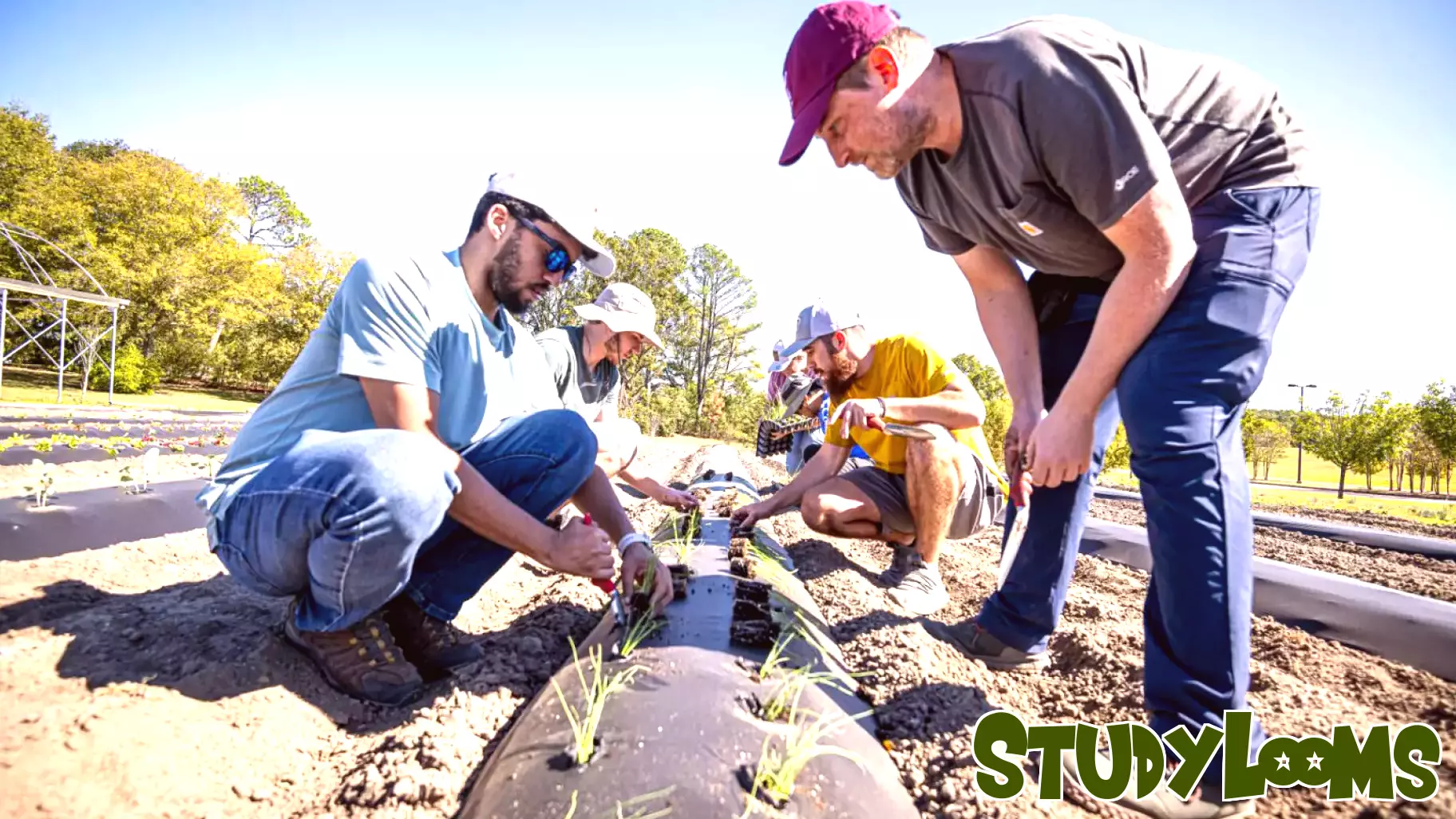 Cultivating Knowledge: Student-Run Farm at Mississippi State University